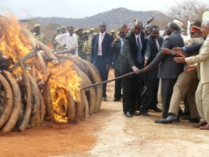 Tsavo West Ivory Burn